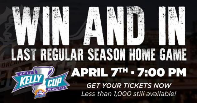 Bear Bites - Solar Bears Newsletter Presented by Fairwinds Credit Union