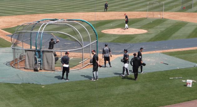 Spring Training Takes Flight for Flock