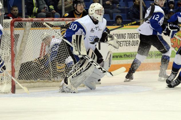 Sea Dogs Recall G Matthew Williams