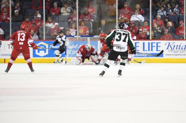 Americans Fall to Grizzlies in Game 2