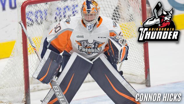 Firebirds' Hicks Signs with Calgary Flames' ECHL Affiliate Adirondack Thunder