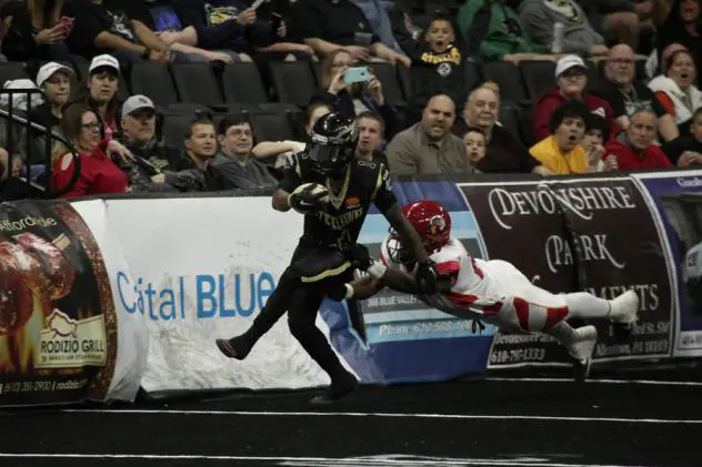 Steelhawks Fly High over Firebirds...