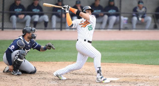 Ducks Blank Black Sox in Spring Training Action