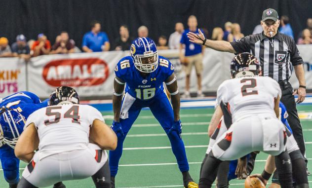 Tampa Bay Storm Sweeps AFL Weekly Awards