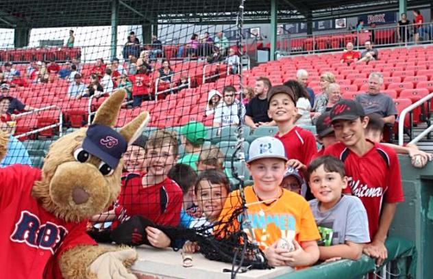Don'T Forget About Fan Fest Tomorrow May 13th