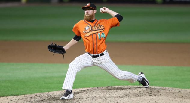 Ducks Silenced by Skeeters