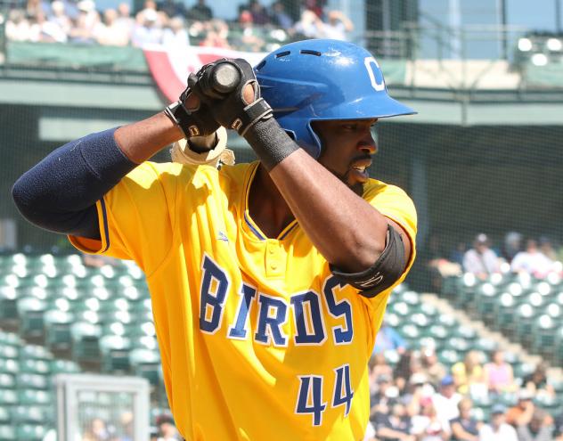 The Birds Become the Butchers in 14-4 Win over the Kansas City T-Bones