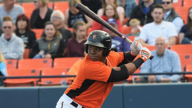 Rifaela Named Carolina League MVP