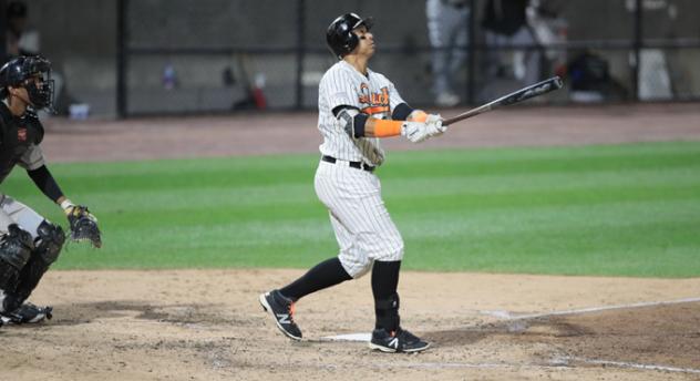 Challenge Met Ducks Achieve Chapey's Home Run Ch Allenge