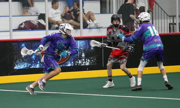 Knighthawks Announce Tryouts for Winter Jr. Teams