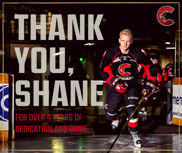Cougars Make Moves to Their Blue-Line
