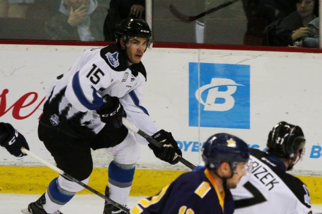 Steelheads Weekly Repor