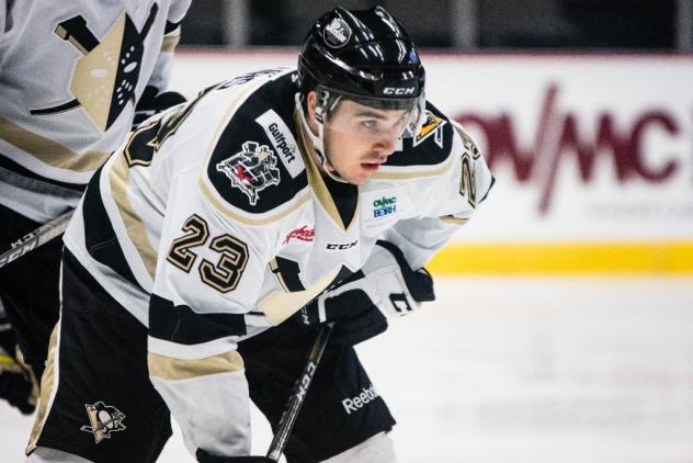 Garrett Meurs Named Sher-Wood Hockey ECHL Player of the Week