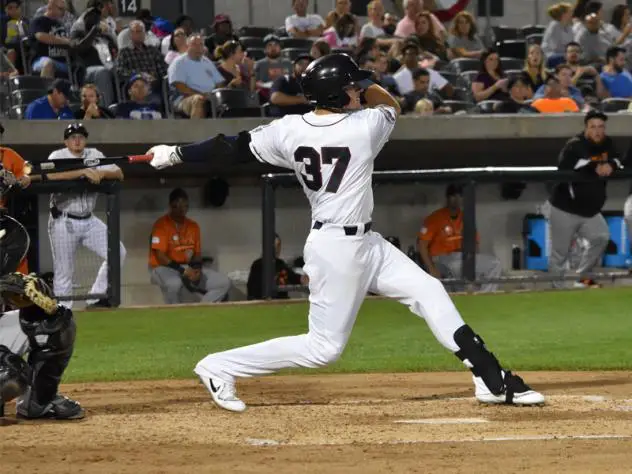 Somerset Patriots First Baseman/Outfielder Joe Maloney Signed by Baltimore Orioles