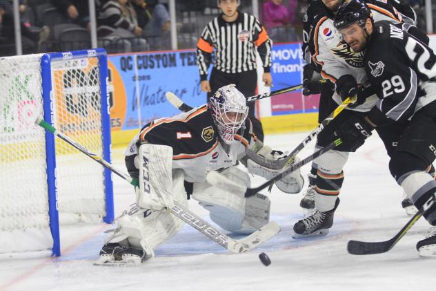 STEELHEADS: Kulbakov, Mallards Top Steelheads in Shootout