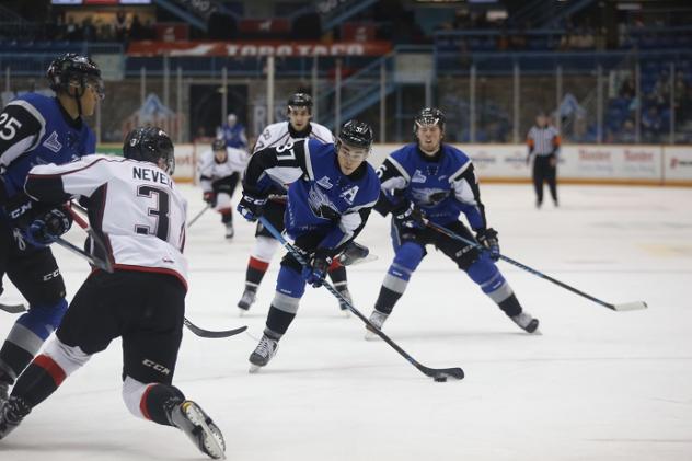 SEA DOGS END LOSING SKID WITH OTTRIUMPH OVER HUSKIES