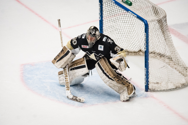Casey DeSmith Becomes 62nd Former Nailer to Reach NHL