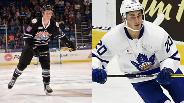 Bear Bites - Solar Bears Newsletter Presented by Fairwinds Credit Union