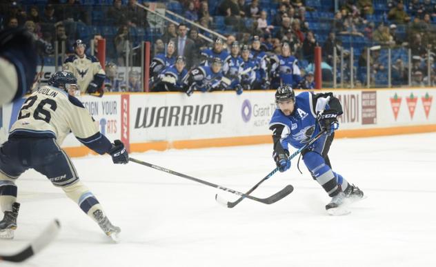 LATE GOAL VAULTS PHOENIX PAST SEADOGS