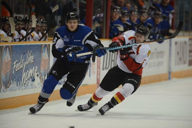 DRAKKAR DEFEAT SEA DOGS IN SHOOTOUT