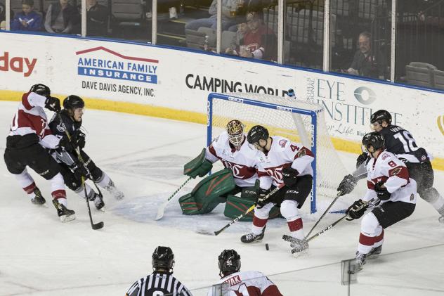Steelheads Weekly