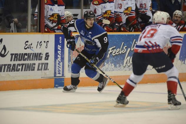 WILLIAMS WINS GOALTENDING DUEL ASSEA DOGS EDGE WILDCATS