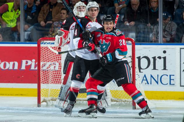 Rockets Host Cougars on Hat-Trick