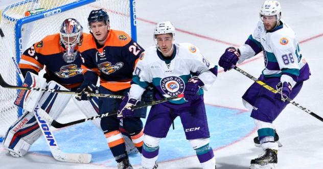 Solar Bears Newsletter Presented by Fairwinds Credit Union
