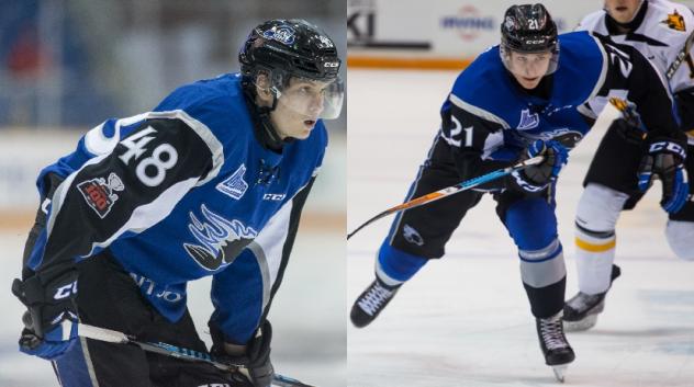 Safin, Salda Named to Czech Republic Wjc Selection Camp Roster