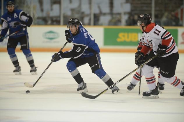 Game Recap: Three-Goal Second Leads Voltigeurspast Sea Dogs