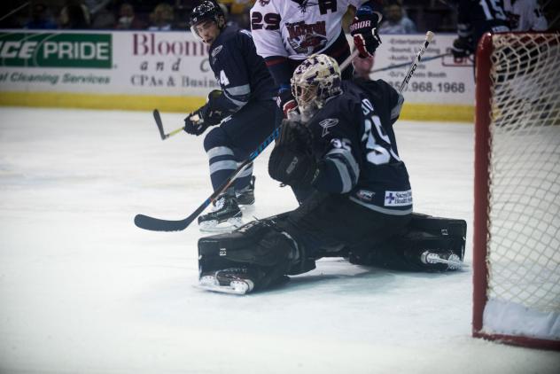Mayhem Add Third Goaltender, Sign Greg Dodds
