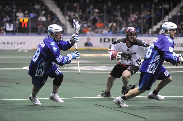 Jamieson Sparks Knighthawks' Hot Start