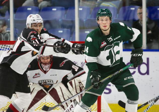 Silvertips Blank