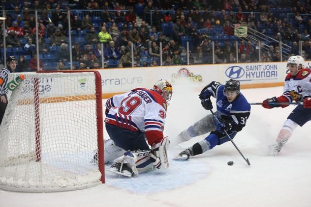 BOUCHER SCORES SHOOTOUT WINNER ASSEA DOGS EDGE WILDCATS