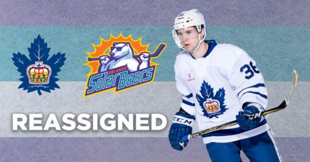 Dzierkals Reassigned to Solar Bears by Marlies