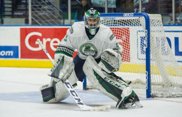 Ouellette Named CCM ECHL Goaltender of the Week