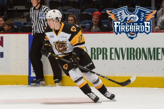 Firebirds Acquire Defenseman Riley McCourt & Draft Picks in Trade with Hamilton