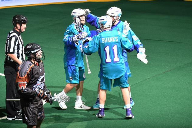 Knighthawks to Battle Black Wolves Sunday