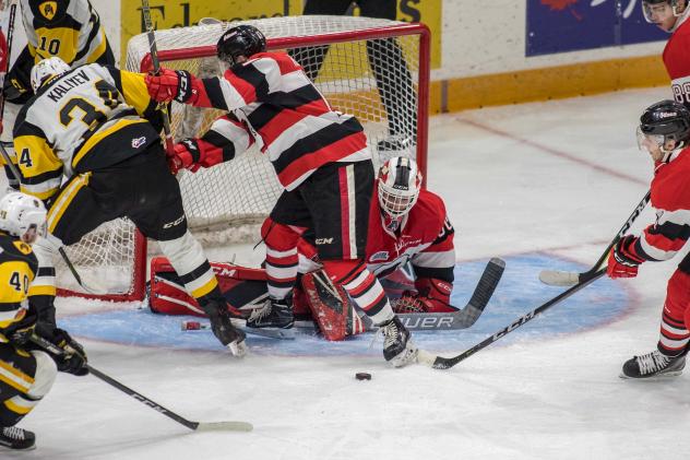 Late Flurry of Offence Pushes Hamilton Past 67's