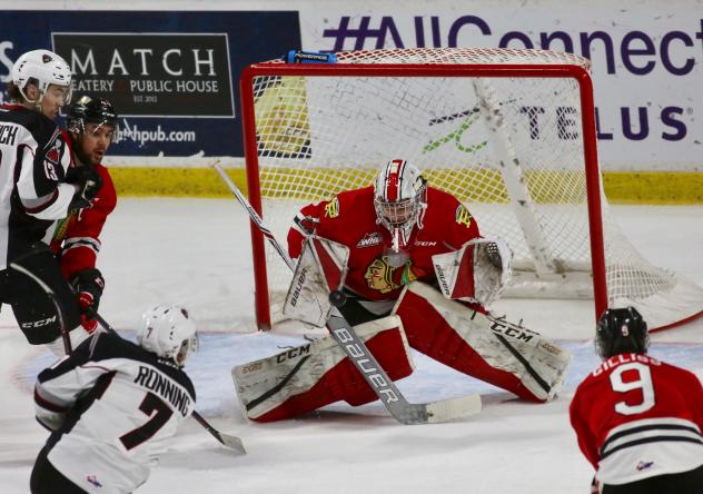 Winterhawks
