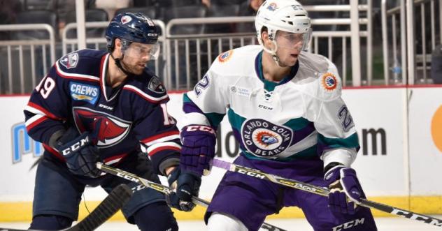 Solar Bears