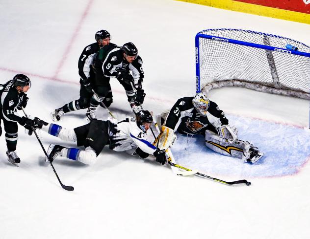 Steelheads Battle for Shootout Win in Utah