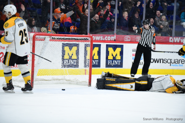 Flint Firebirds vs. Sarnia Sting