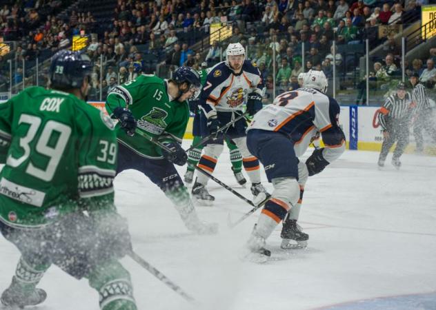 Florida Everblades vs. Greenville Swamp Rabbits