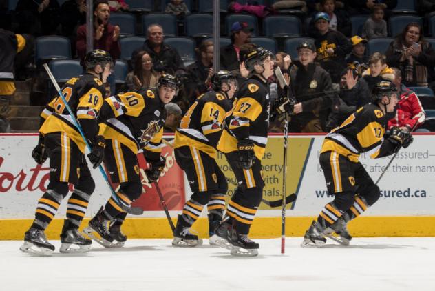 Hamilton Bulldogs