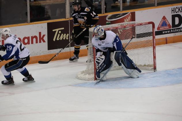 Saint John Sea Dogs Goalie Alex D'Orio vs. Cape Breton