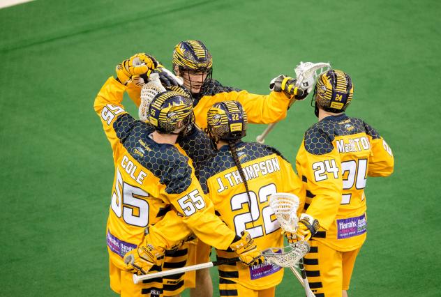 Georgia Swarm Celebrates