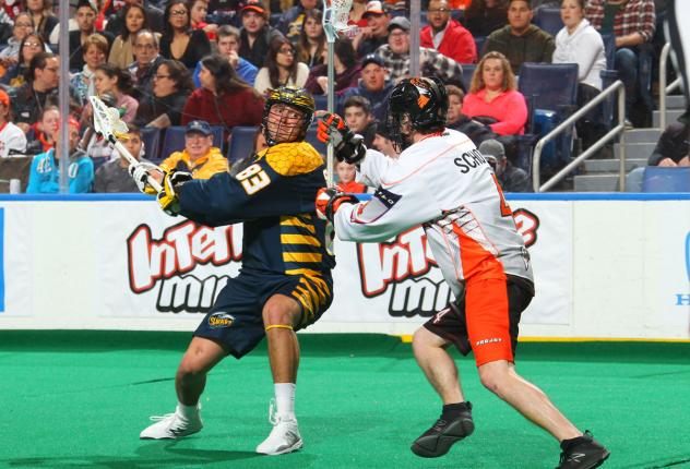 Randy Staats of the Georgia Swarm vs. the Buffalo Bandits