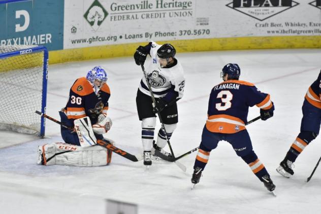 Greenville Swamp Rabbits vs. the Jacksonville IceMen