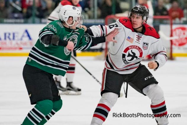 The Cedar Rapids RoughRiders Fight the Waterloo Black Hawks